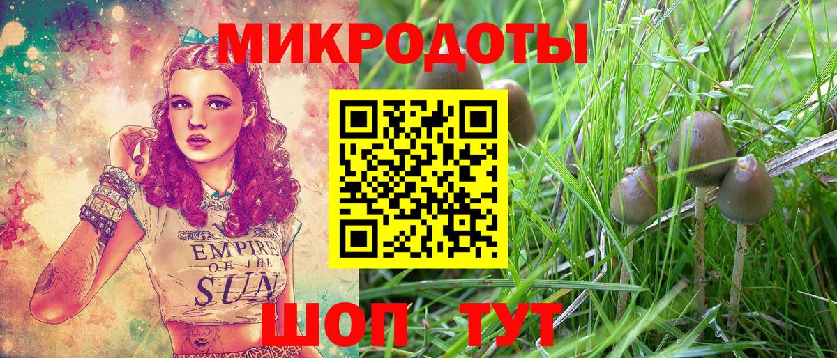 Псилоцибиновые грибы мухоморы Вятские Поляны